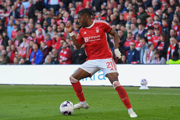 如今又增添 如今又增添